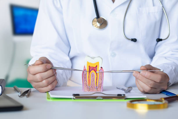 Best Cracked Tooth Emergency Dentist  in Johnstown, PA
